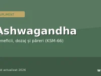 Ashwagandha — supliment KSM-66