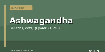 Ashwagandha — supliment KSM-66