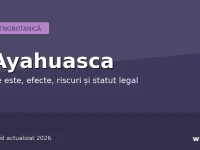 Ayahuasca — plantă etnobotanică