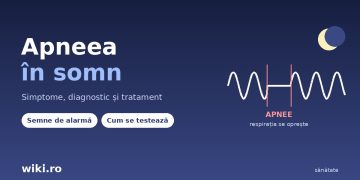 Apneea in somn - grafic cu pauza in respiratie, simptome si diagnostic