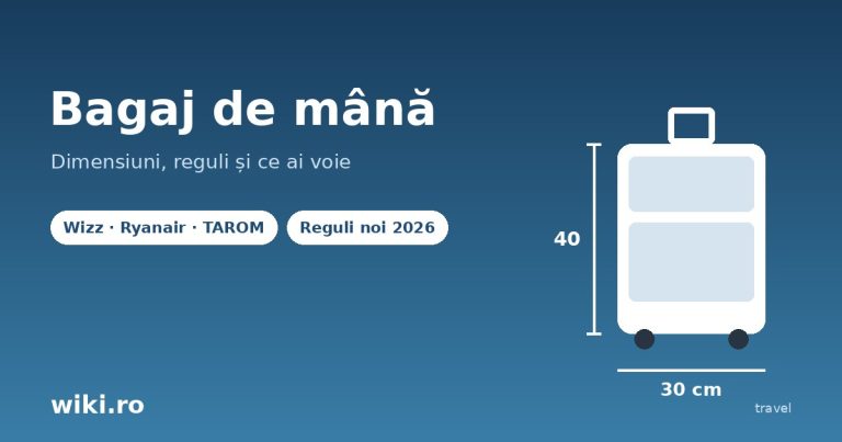 Bagaj de mana - dimensiuni acceptate si reguli pentru avion