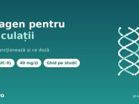 Colagen pentru articulatii - tipul II nedenaturat UC-II, doza si beneficii