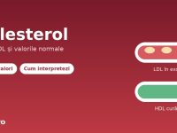 Colesterol LDL si HDL - valori normale si interpretare analize