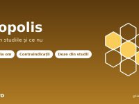 Propolis - ce spun studiile despre beneficii, contraindicatii si doze