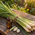 Tulpini de citronella legate în mănunchi și o sticluță de ulei esențial