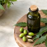 Sticlă cu ulei de neem, frunze și semințe de neem pe o tăviță de lemn
