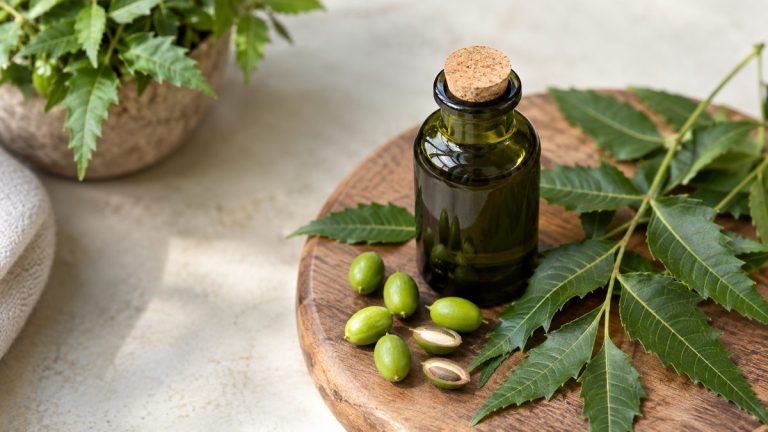Sticlă cu ulei de neem, frunze și semințe de neem pe o tăviță de lemn